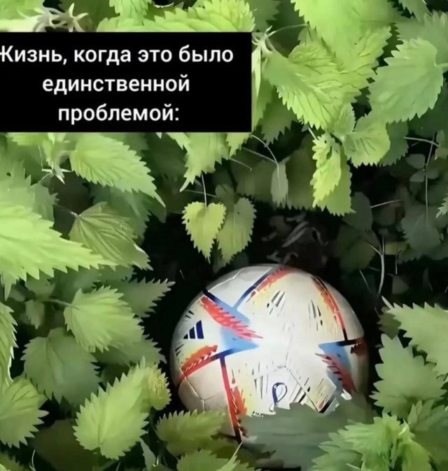 Лучшие шутки и мемы сети: 23.01. 2026