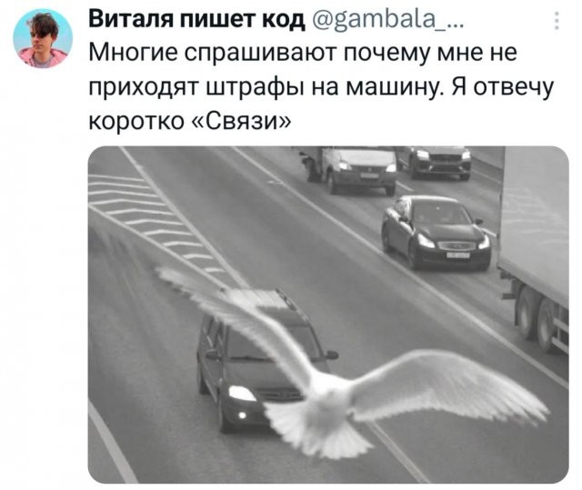 15 забавных твитов и фото: откройте лучший юмор из мира соцсетей