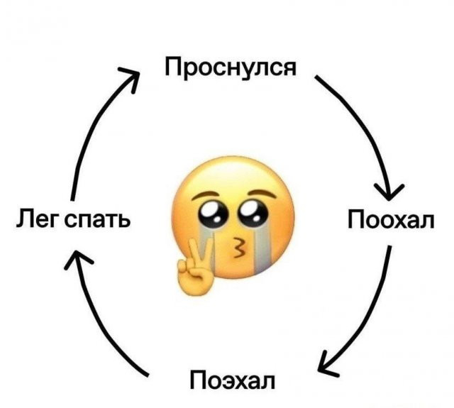 Лучшие шутки и мемы из Сети - 13.05.2026