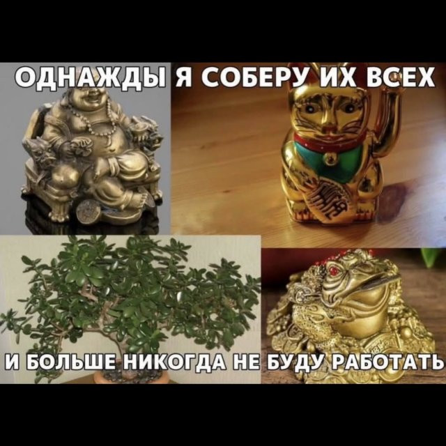 Смешные мемы - 13.05.2026