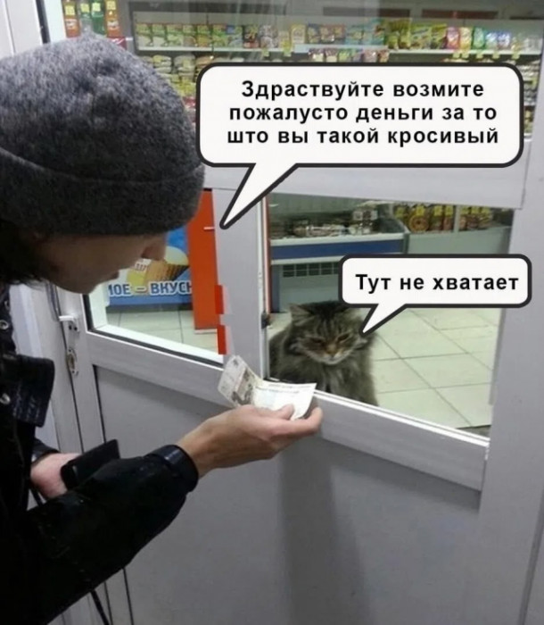 Юмористические моменты из соцсетей в 25 ярких фото