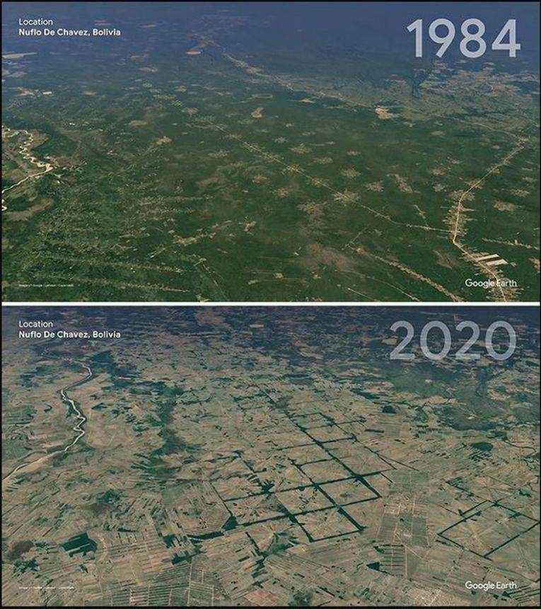 Чавес Ньюфло — Боливия