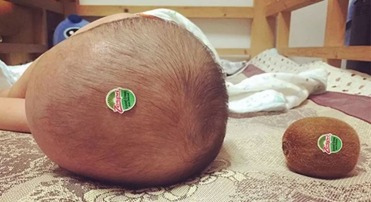 Два киви, большой и маленький